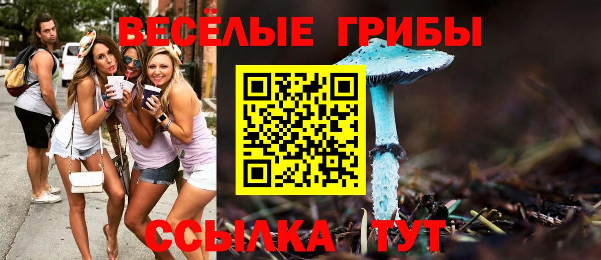 Галлюциногенные грибы Psilocybine cubensis  Вход с VPN  где найти наркотики  Краснокаменск 